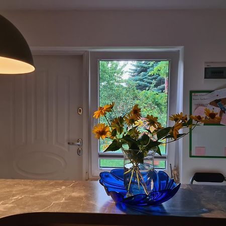 Apartament Bema Biała Podlaska Dış mekan fotoğraf