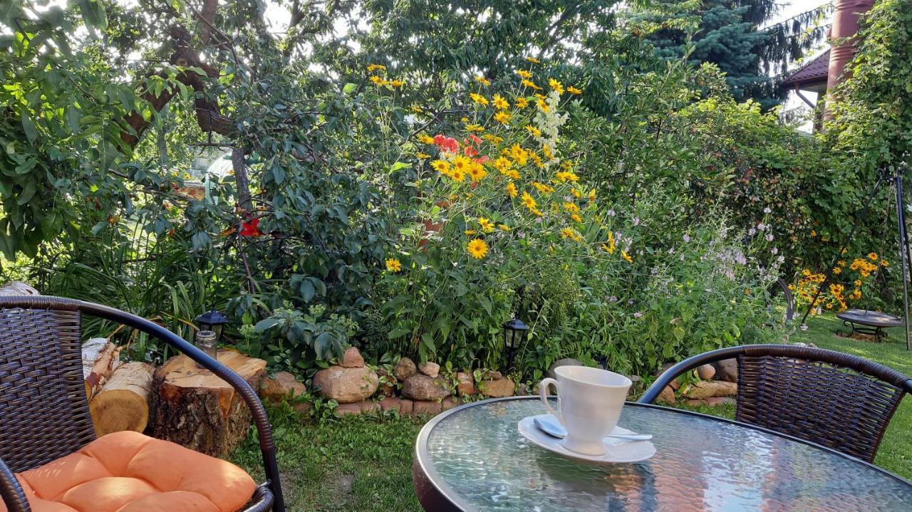 Apartament Bema Biała Podlaska Dış mekan fotoğraf