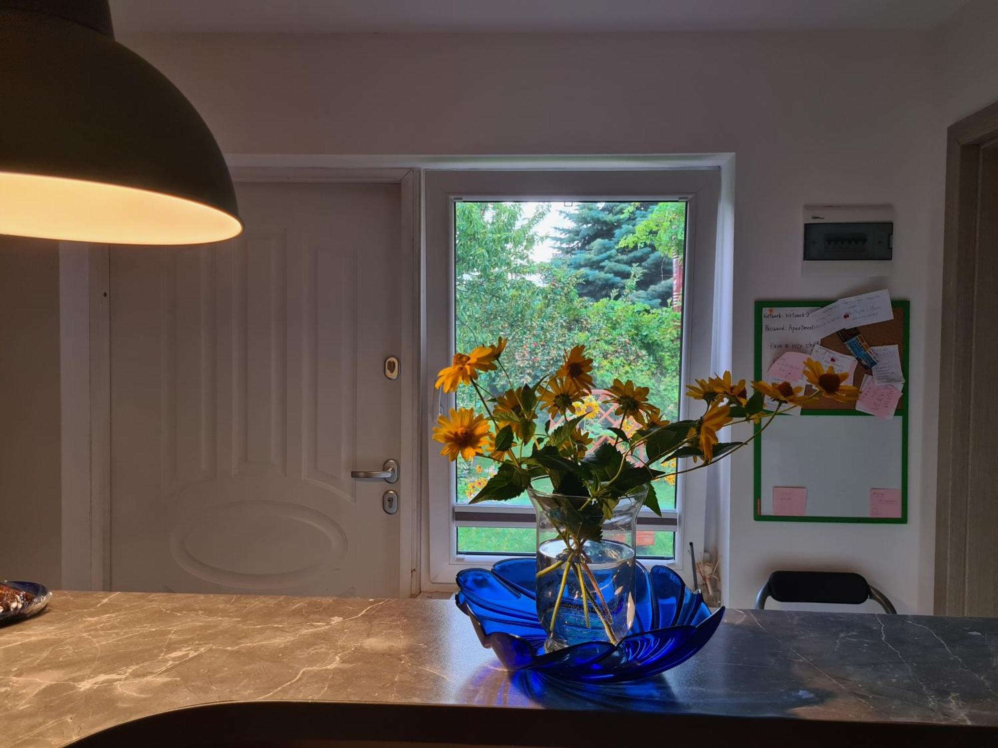 Apartament Bema Biała Podlaska Dış mekan fotoğraf